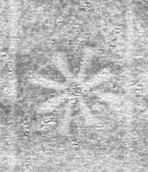 Image Description for https://www.hist-einband.de/Bilder/HAB/Theol. lat. 67_Sterm achtstrahlig ohne Umrandung.jpg